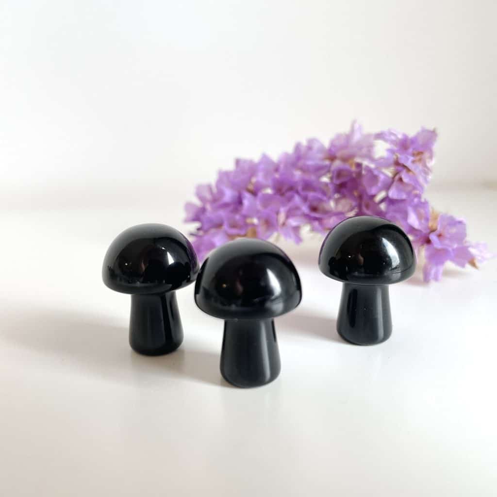Obsidiaan paddenstoel