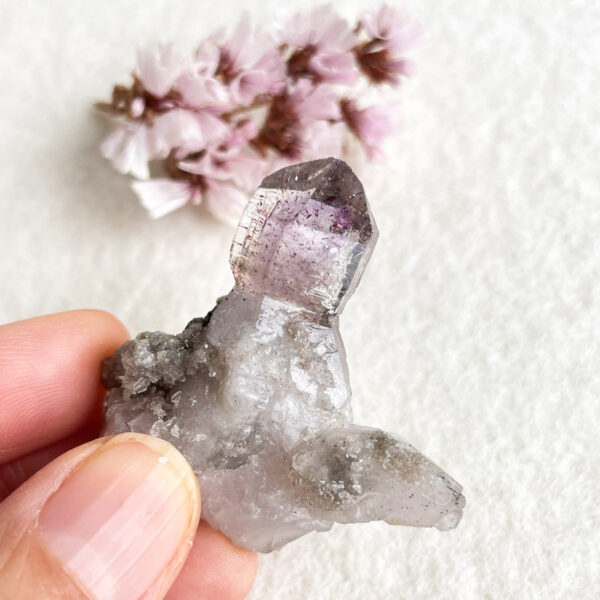 A person holding a translucent crystal with a prominent amethyst point, against a white background with blurred pink flowers in the distance.