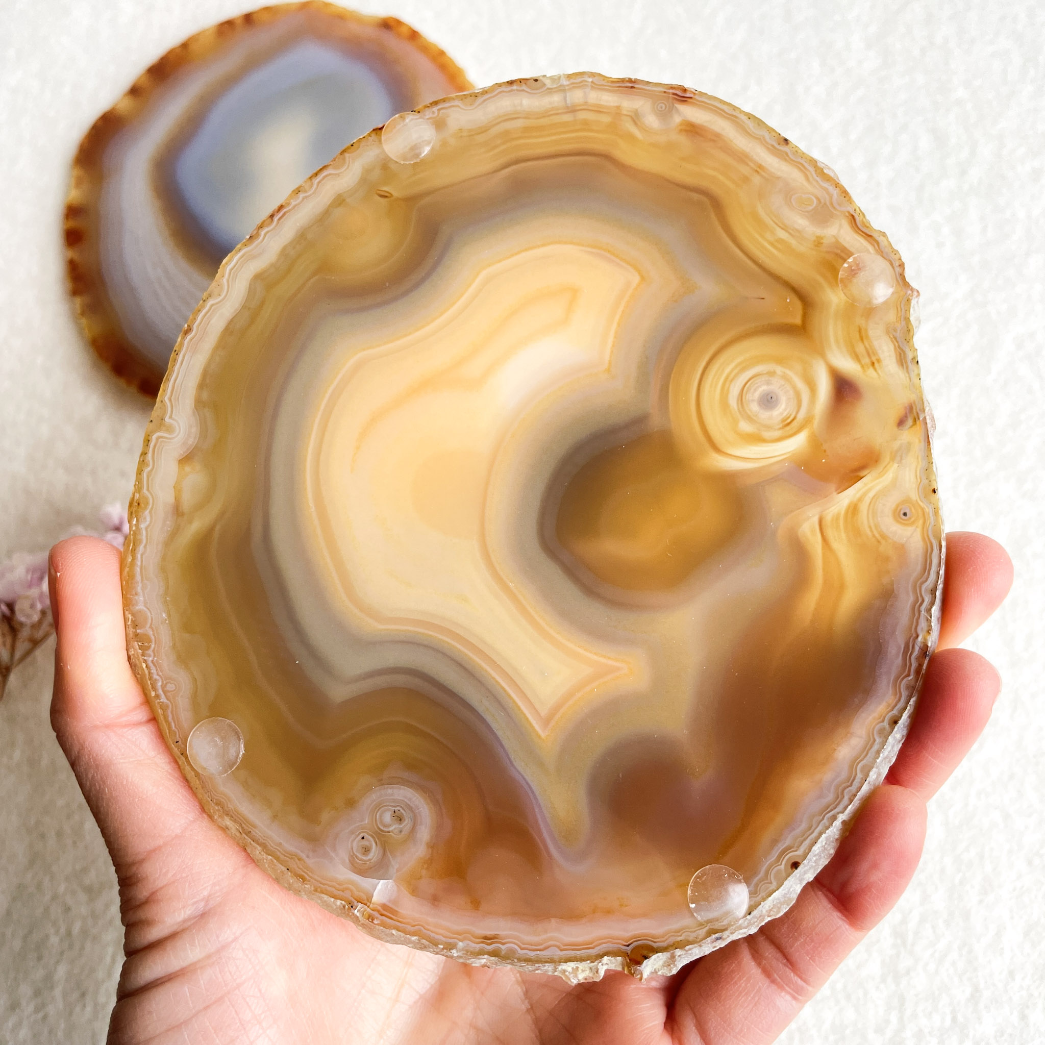 A person holding a polished agate slice, showing concentric bands of tan, cream, and brown colors with natural crystal patterns. Another similar agate slice is partially visible in the background.