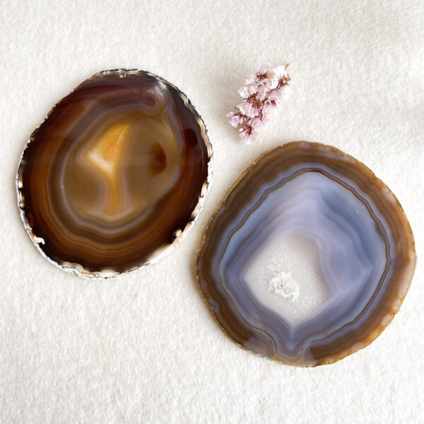 Two polished agate slices with concentric bands displayed on a textured white background, accompanied by a small cluster of pink cherry blossom flowers to the side.