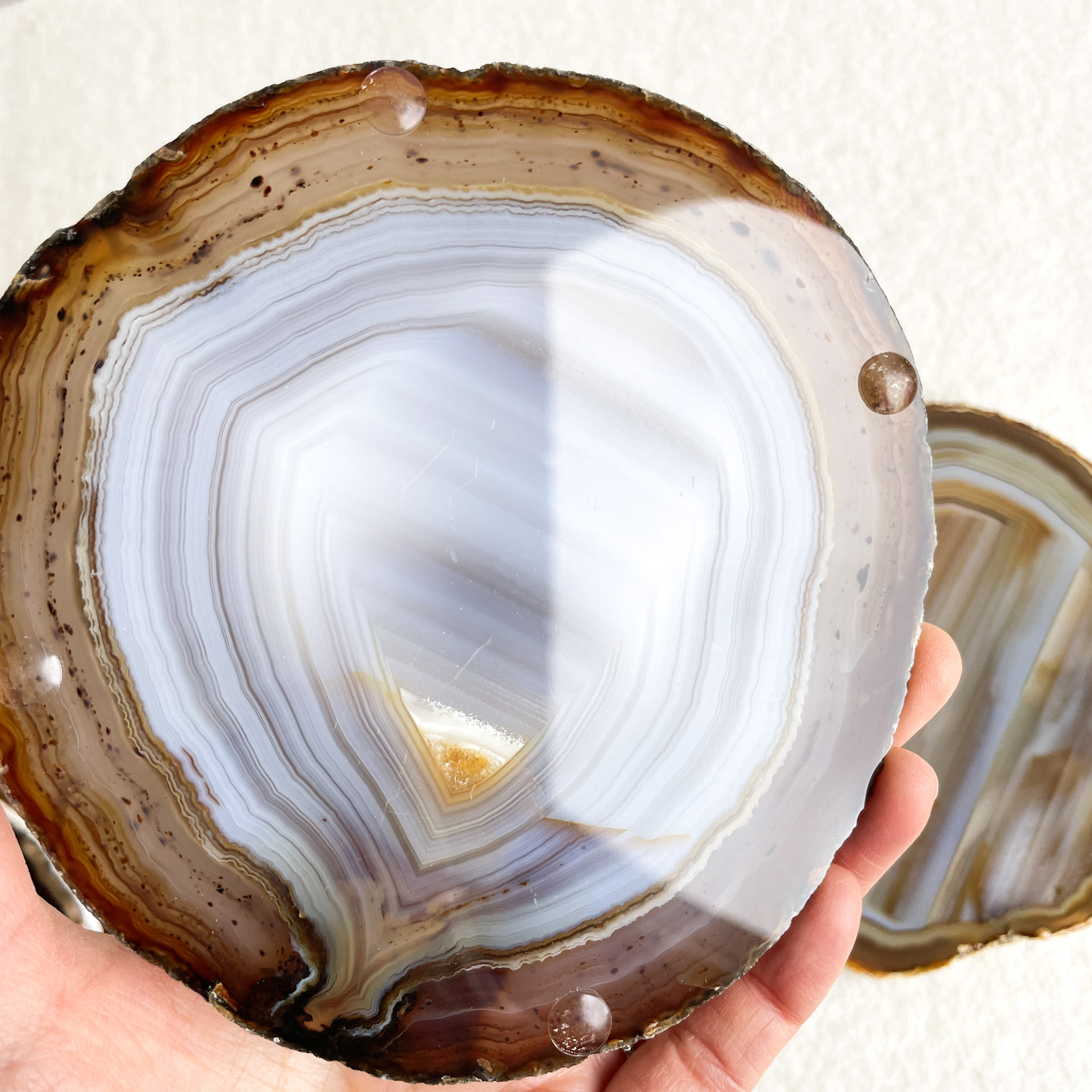 A person holding a polished agate slice showing concentric bands of brown and white colors with light reflections on its surface.