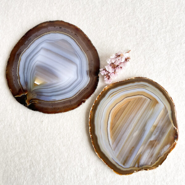 Two polished agate slices with concentric banded patterns, one larger than the other, displayed on a textured white surface with small pink flowers beside them.