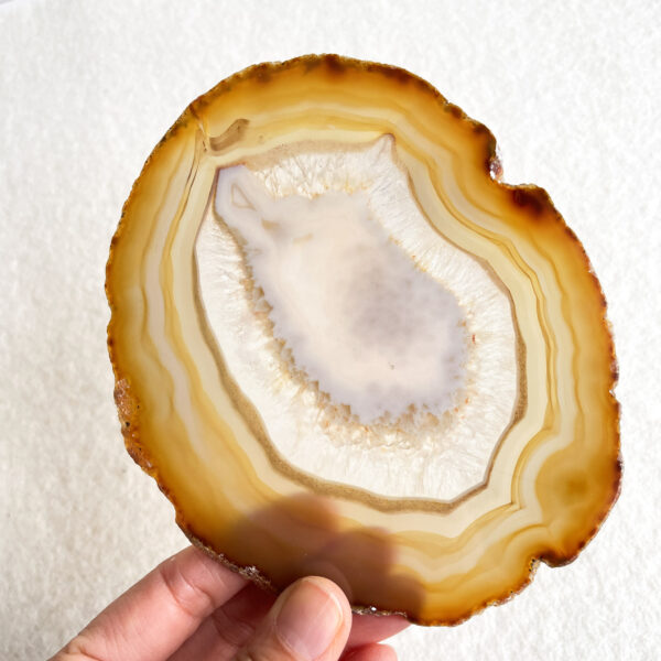 A hand holding up a translucent, brown and white banded agate slice against a white background.