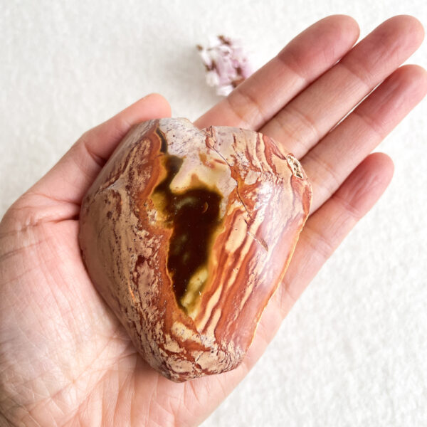 A hand holding a polished, heart-shaped stone with intricate brown and tan patterns and a glossy cavity at the center. A small, dried flower is visible in the background on a white surface.