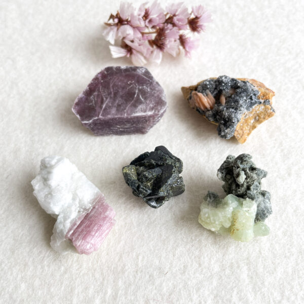 A variety of minerals and crystals of different colors and shapes arranged on a textured paper background, with a cluster of small pink flowers in the top left corner.