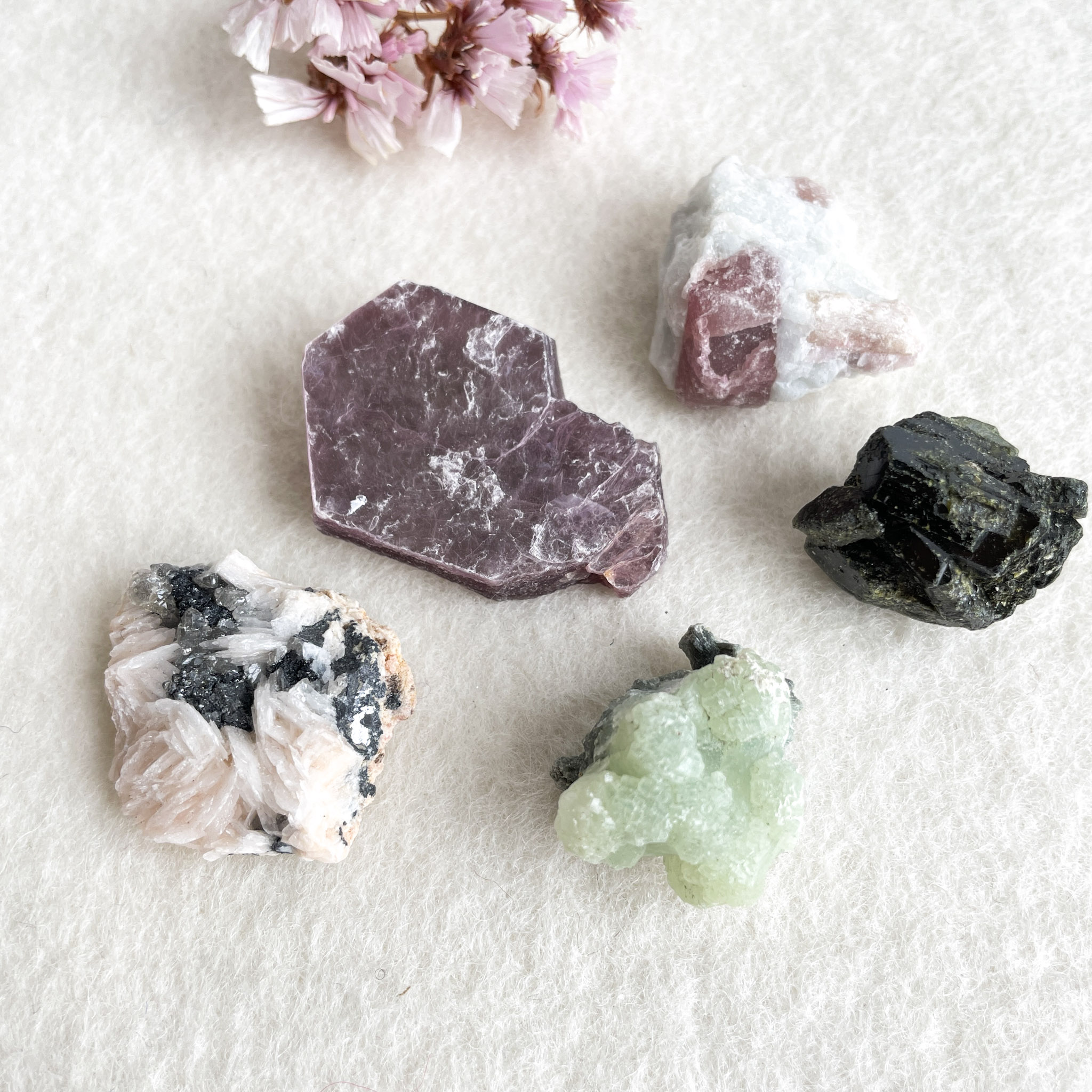 A collection of various rough mineral specimens and a small cluster of dried pink flowers on a textured paper background.
