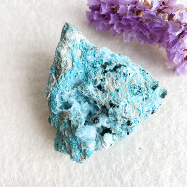 Alt text: A close-up view of a rough turquoise mineral specimen with a vibrant blue color set against a plain white background, accompanied by out-of-focus purple flowers in the top right corner.