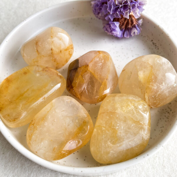A bowl of polished citrine gemstones next to a dried purple flower.