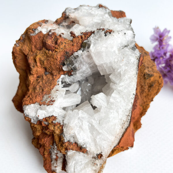 Alt text: A close-up of a geode with a rough exterior of reddish-brown stone and a cavity lined with sharp, clear quartz crystals. A small purple flower cluster is visible in the background to the right.