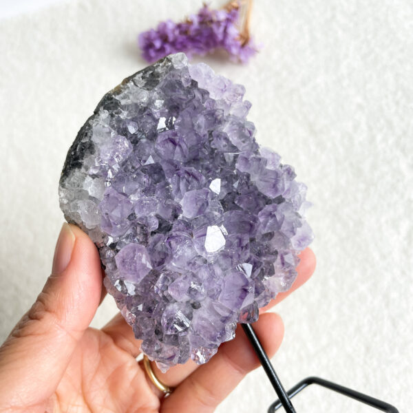 A hand holding a large amethyst geode with well-defined purple crystals against a white background with soft purple flowers out of focus in the background.