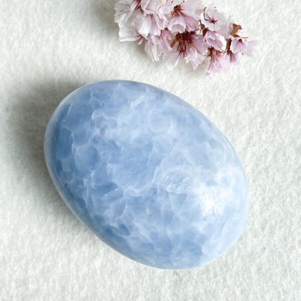 A polished blue celestite stone on a white background with a cluster of pink cherry blossom petals to the top right of the stone.