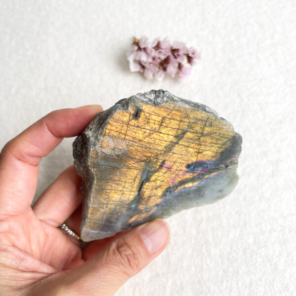 A hand holding a polished labradorite stone with iridescent colors and striations, against a textured white background with small dried flowers in the top left corner.