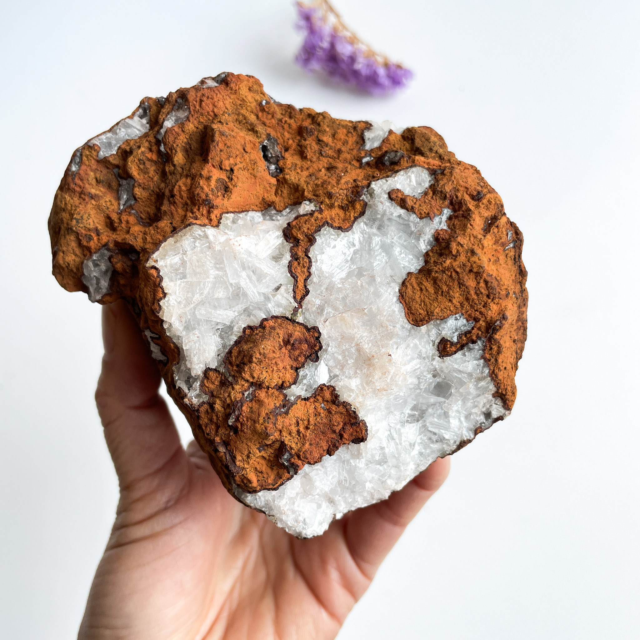 A hand holding a large geode with clear quartz crystals inside and rough reddish-brown exterior, with a blurred purple flower in the background.