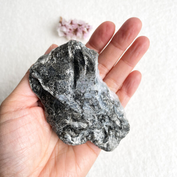 A person holds a large, textured gray stone in their hand against a white background with a small bunch of pink flowers blurred in the corner.