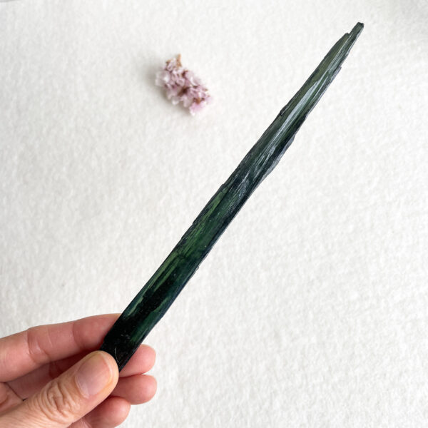 A hand holding a long, green vanilla pod over a white textured background with a small clump of vanilla beans to the top left.