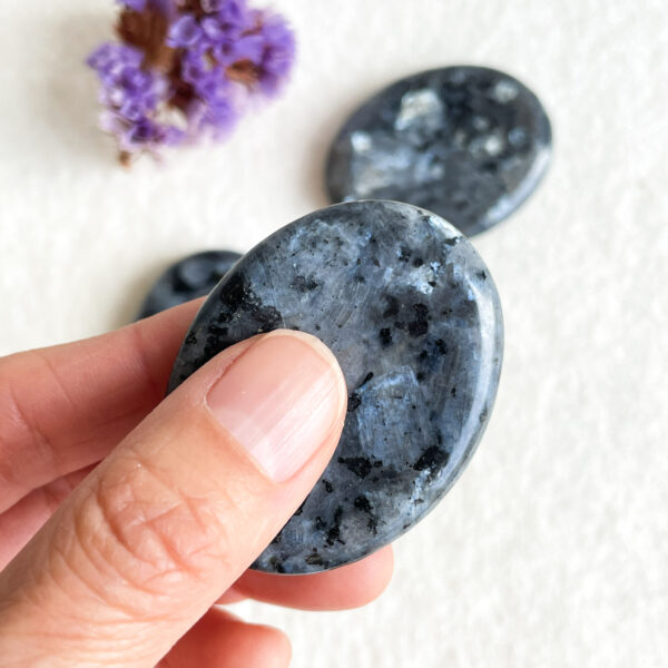 A hand holding a polished blue-grey stone with black speckles, with other stones and a dried purple flower in the background.
