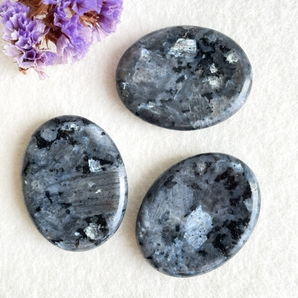 Three polished oval-shaped larvikite stones with a blue and gray shimmer are arranged on a cream background with a cluster of dried purple flowers in the top left corner.