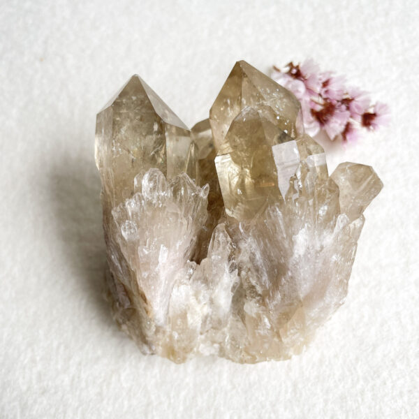 A cluster of translucent quartz crystals with a slight golden hue on a light background, accompanied by a small pink flower to the side.