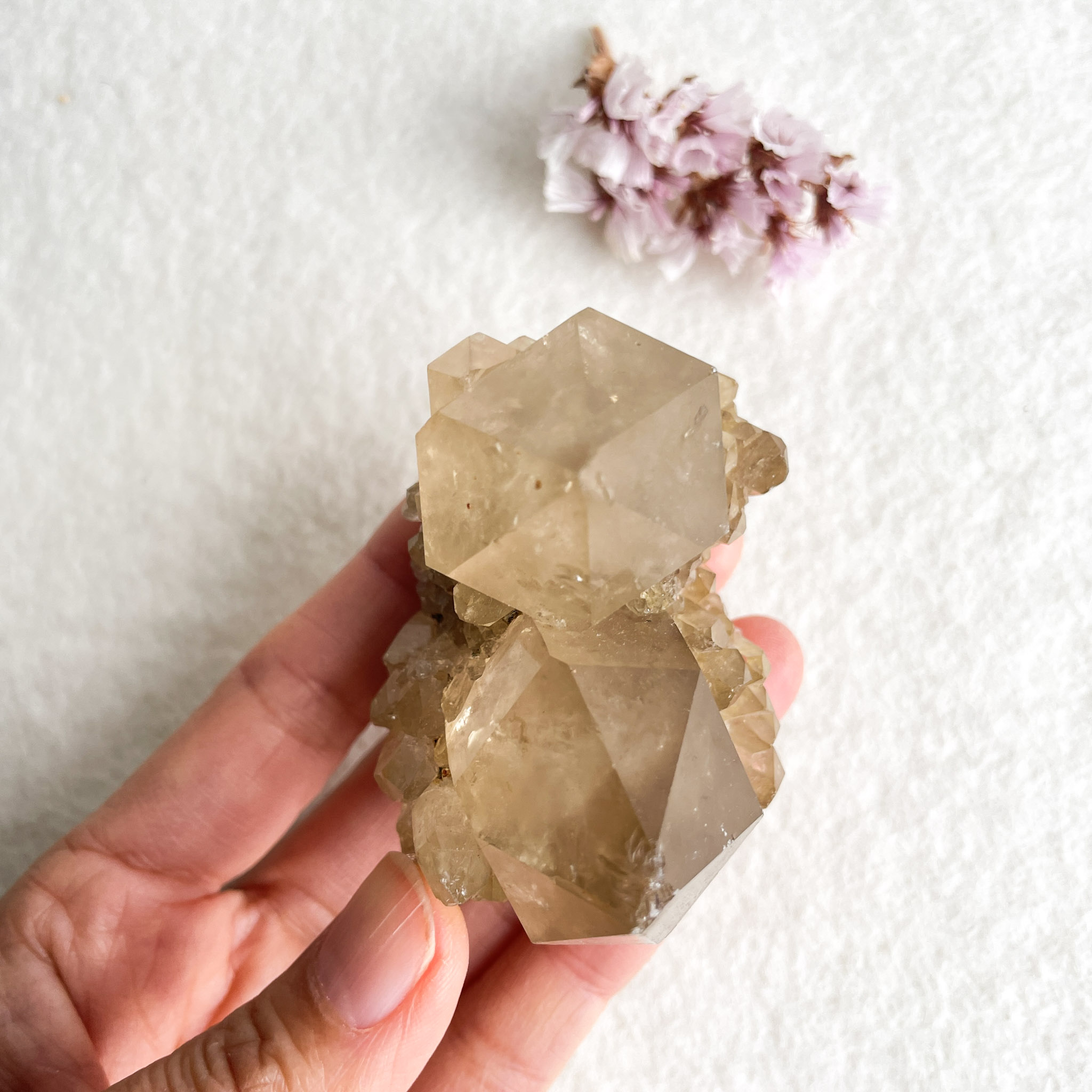 A hand holding a cluster of translucent crystalline minerals with a few small, dry pink flowers in the background on a white surface.