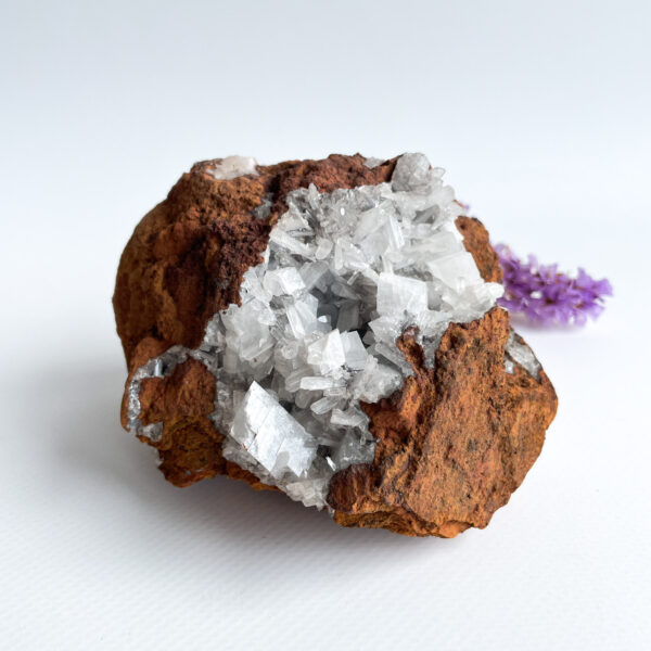 A large brown rock embedded with multiple clear quartz crystals, placed on a white surface with a small purple crystal cluster in the background to the right.