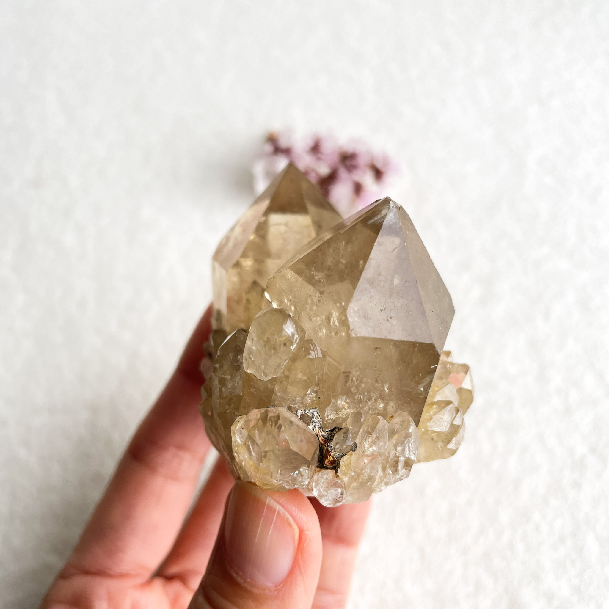 A close-up of a person's hand holding a cluster of large, translucent quartz crystals with a pale purple flower blurred in the background.