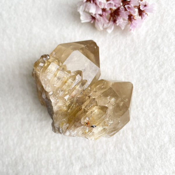 Alt text: A large translucent smoky quartz crystal with well-defined facets, resting on a white surface, accompanied by small, pink cherry blossom flowers in the corner.