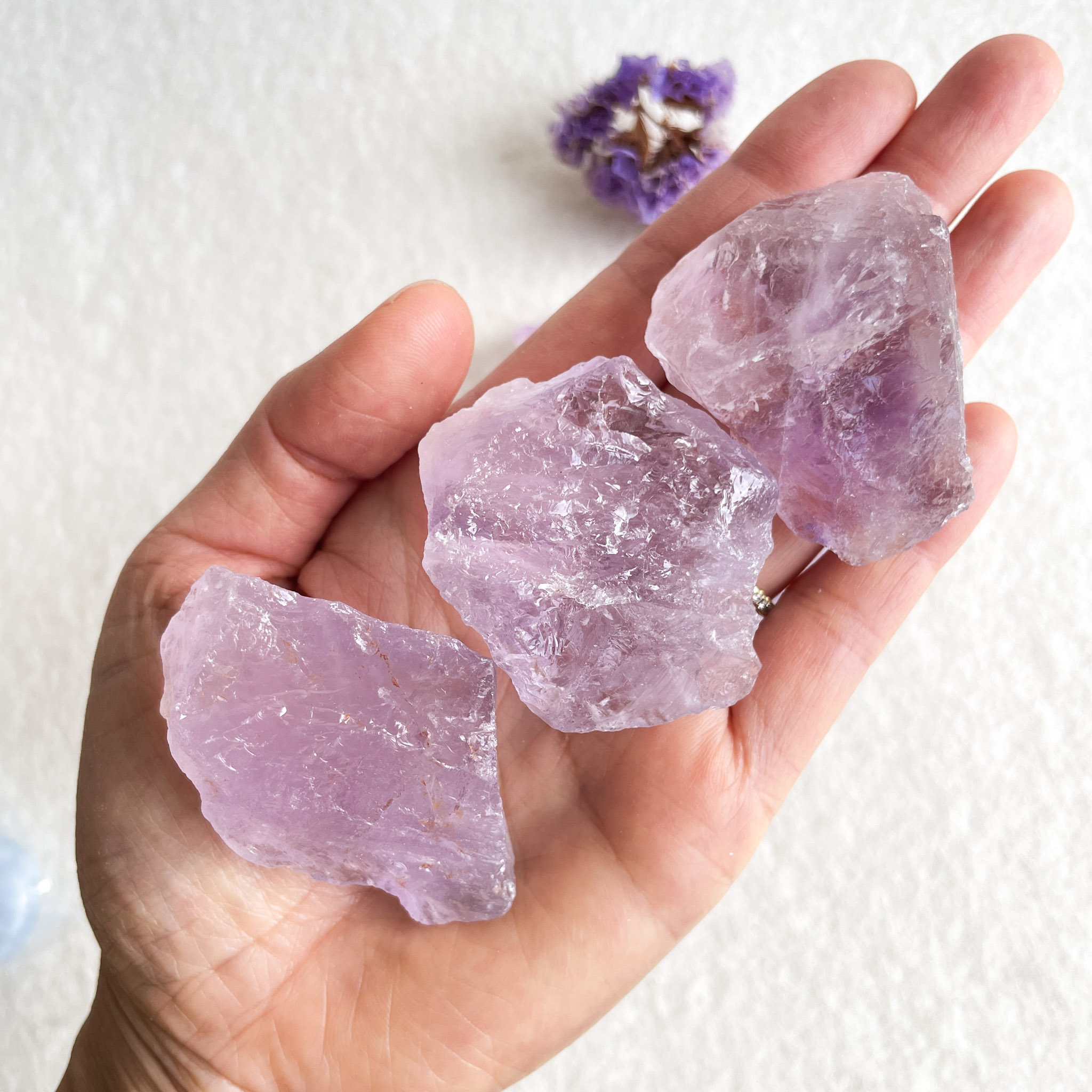 A person is holding three large, unpolished amethyst crystals in the palm of their hand against a white background with a small purple flower blurred in the background.
