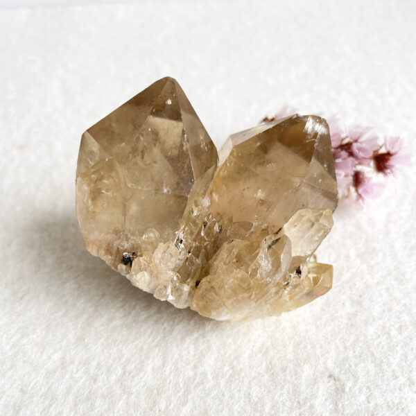 A large smoky quartz crystal is showcased on a white background with a delicate pink flower partially visible in the background to the right.