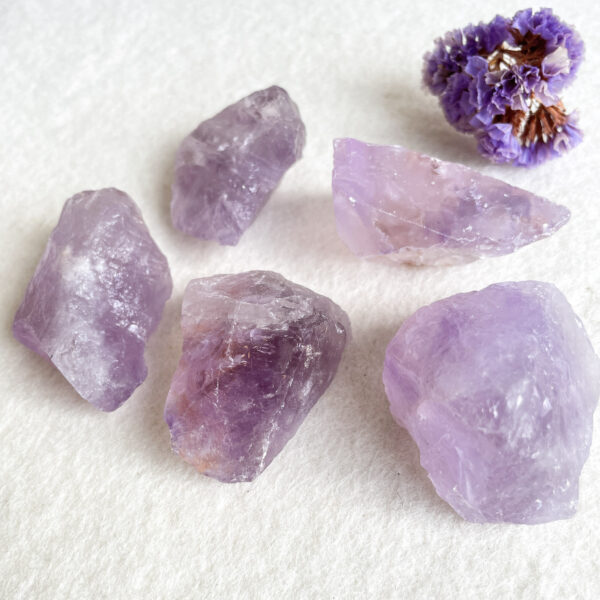 Five rough amethyst crystals on a white surface with a small purple flower in the background.
