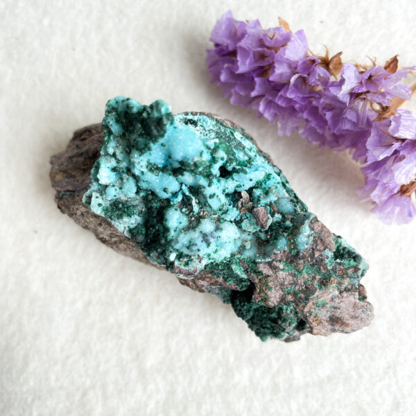 A vibrant turquoise mineral specimen juxtaposed with a cluster of dried purple flowers on a textured off-white background.