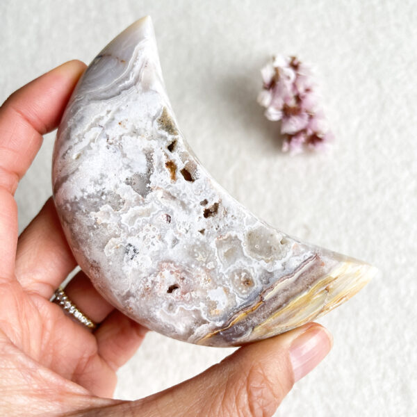 A person is holding a polished, banded agate stone showing various layers and cavities against a textured white background, with a small cluster of dried flowers in the corner.