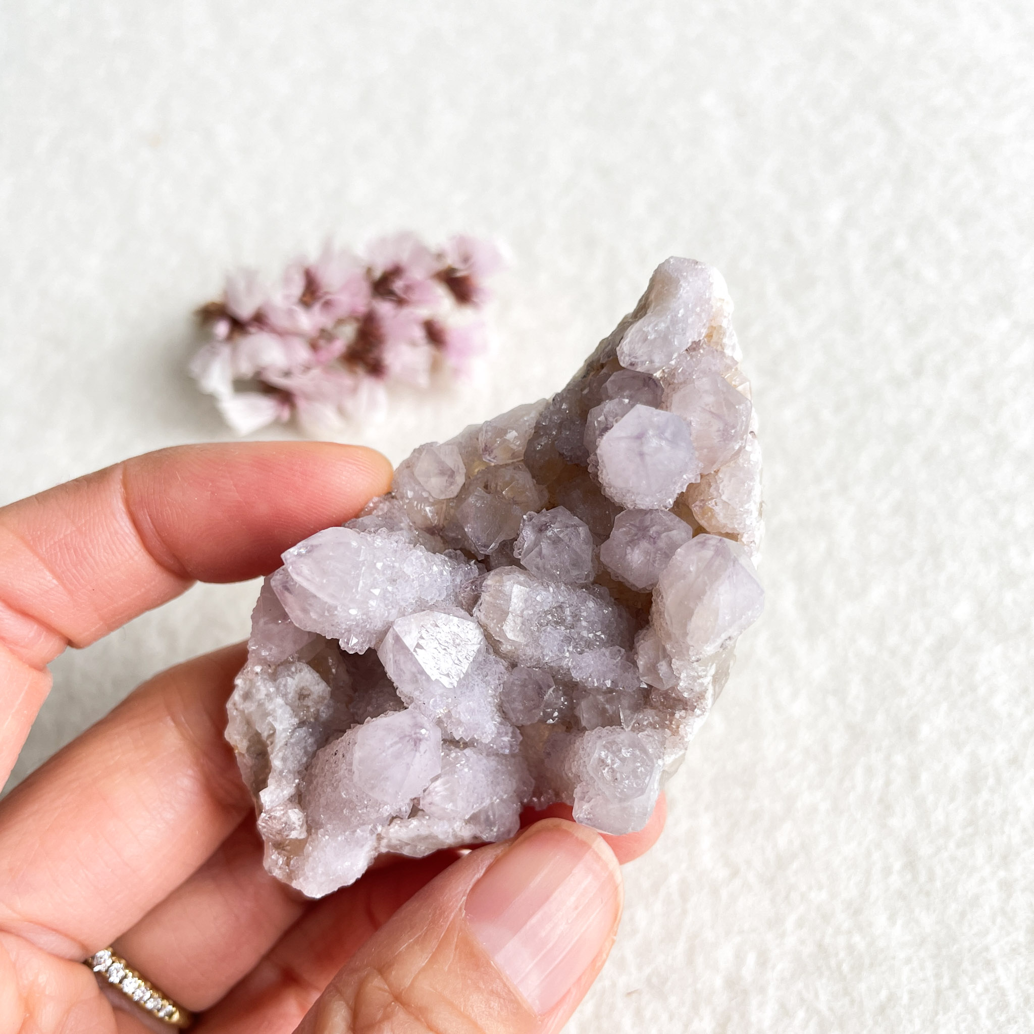 A close-up photo of a hand holding a piece of amethyst geode, with a blurry cluster of small pink flowers in the background on a textured white surface.