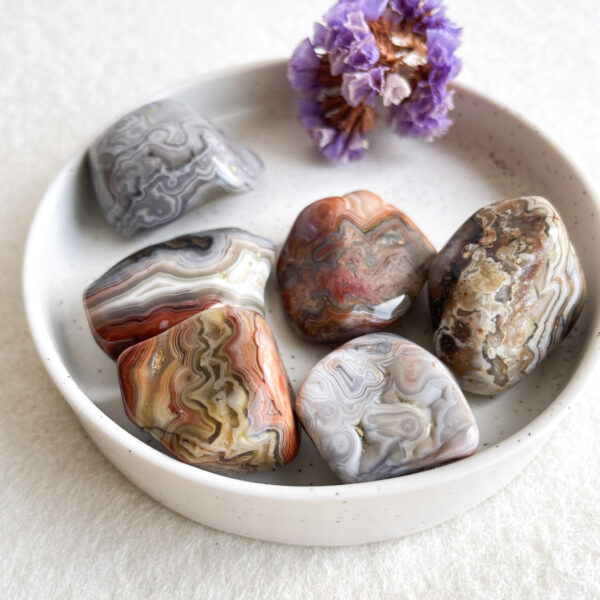 A collection of polished agate stones with intricate natural patterns in a small ceramic bowl next to a dried purple flower.