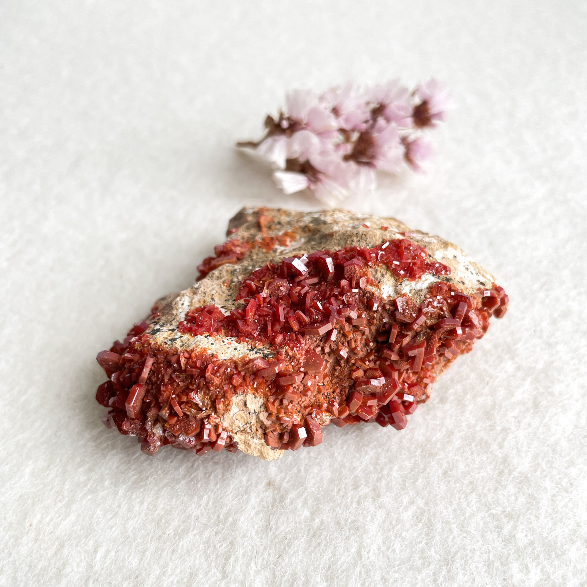 A red vanadinite crystal cluster on a rock matrix with a small bouquet of dried pink flowers on a textured white background.