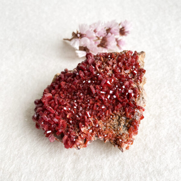 A close-up image of a red crystal mineral specimen on a pale surface with a small cluster of dried pink flowers to the left.