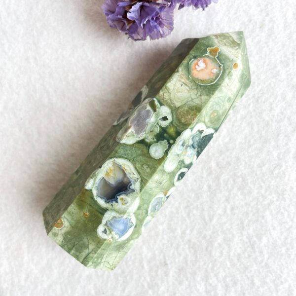 Rhyoliet 'regenwoud jaspis' punt 4