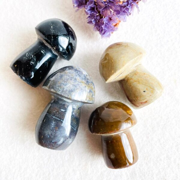 Paddenstoelen set 4 stuks