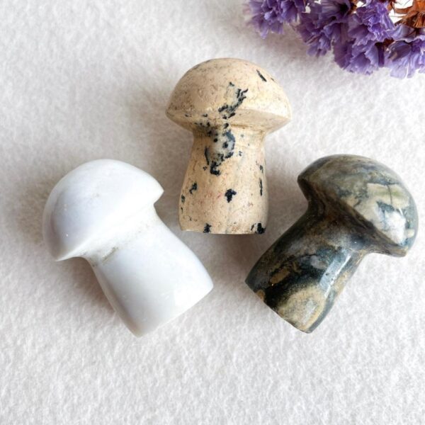 Paddenstoelen set 3 stuks